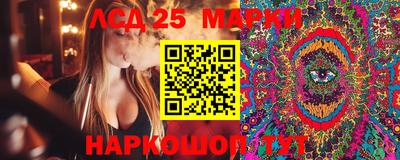 гашик Гай