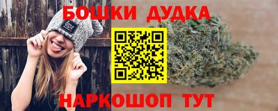 гашик Гай
