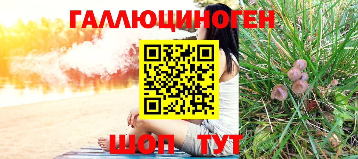 Псилоцибиновые грибы Cubensis Кудрово