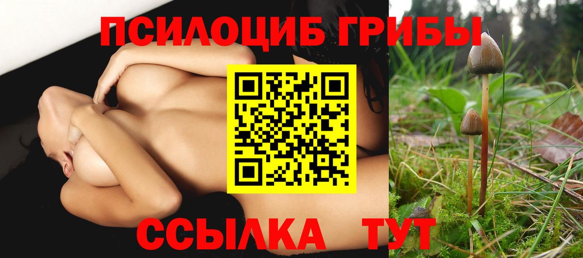 Кудрово  Псилоцибиновые грибы Magic Shrooms  Вход с VPN  Псилоцибиновые грибы мухоморы 